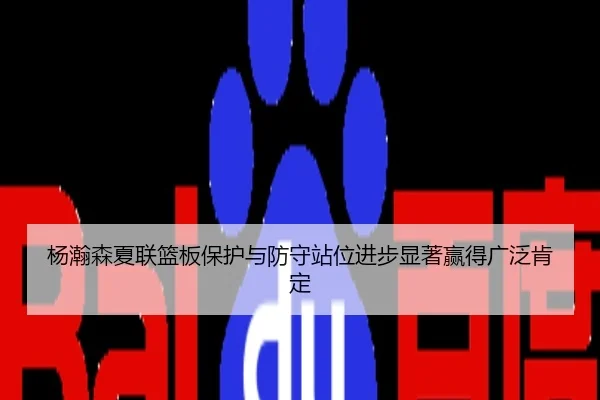 杨瀚森夏联篮板保护与防守站位进步显著赢得广泛肯定